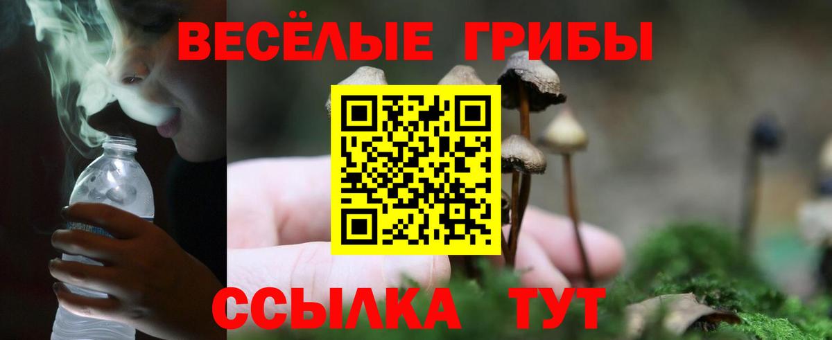 Галлюциногенные грибы Cubensis  Вход с VPN  Балашиха  Псилоцибиновые грибы Psilocybe 